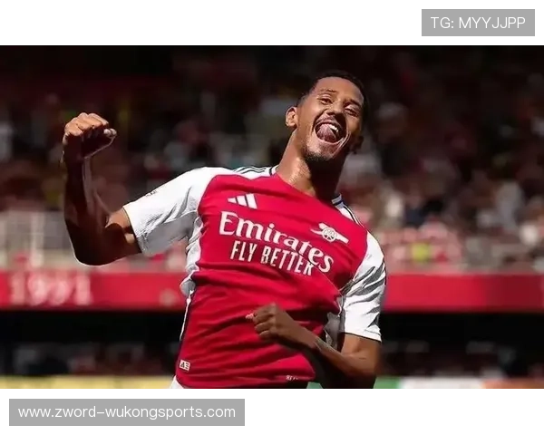 巴斯托尼vs萨利巴：新生代中卫全面能力解析