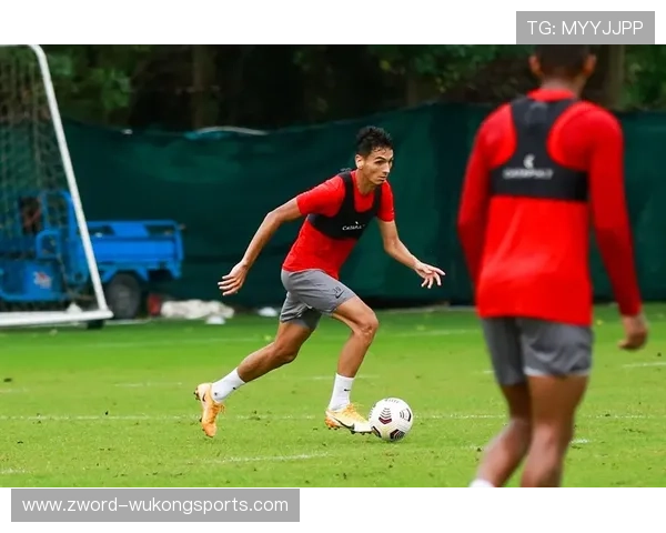 杜埃身体对抗偏弱 该短板对其赛场表现的影响分析